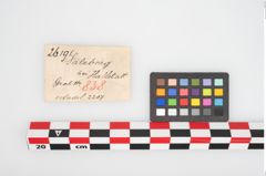 Etikett zu Bronzemehrkopfnadel (NHMW-PRAE-026191)